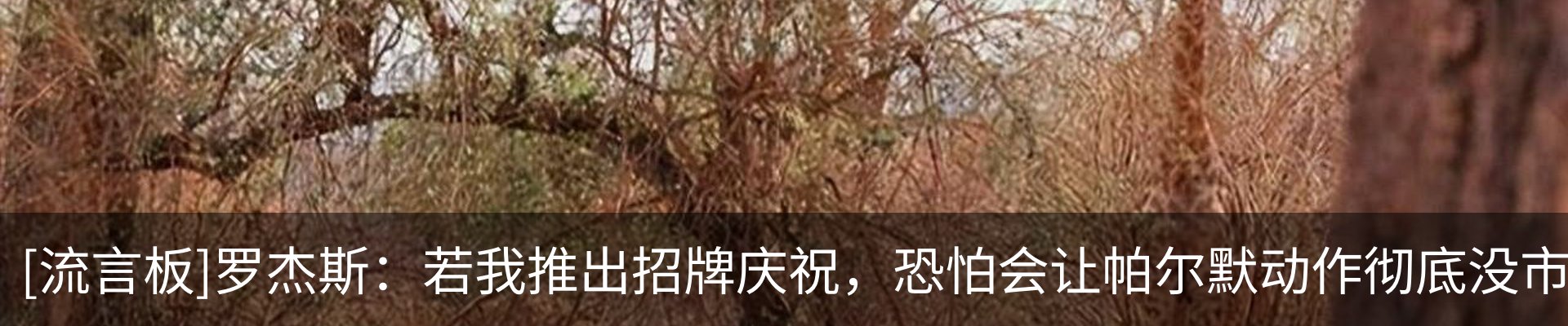 资讯中心